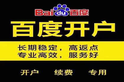 某公司如何利用SEO和SEM提升线上业务——真实案例分析